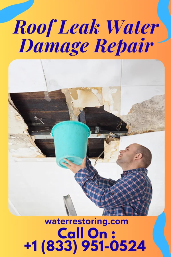 Roof Leak Water Damage Repair in Atlantic Beach, SC