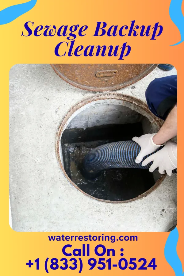 Sewage Backup Cleanup in Atlantic Beach, SC