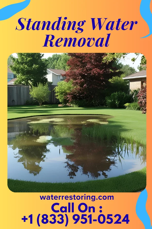 Standing Water Removal in Atlantic Beach, SC
